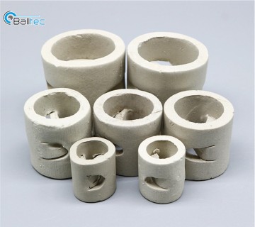 Ceramic Pall Rings Tower Packing for Distillation Column Packing